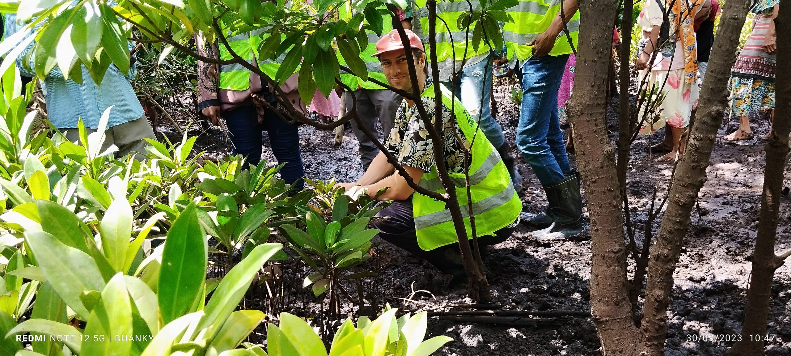 ZAVECO Mangrove Planting Fieldwork