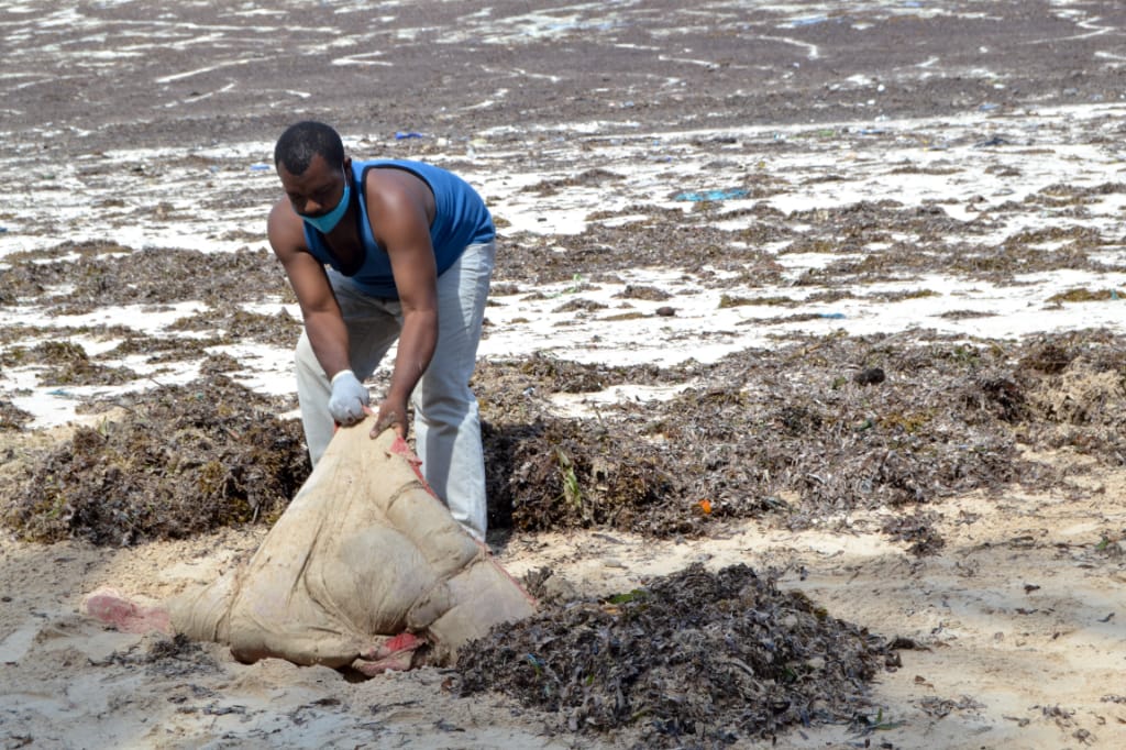Marine Marine Habitat Monitoring
